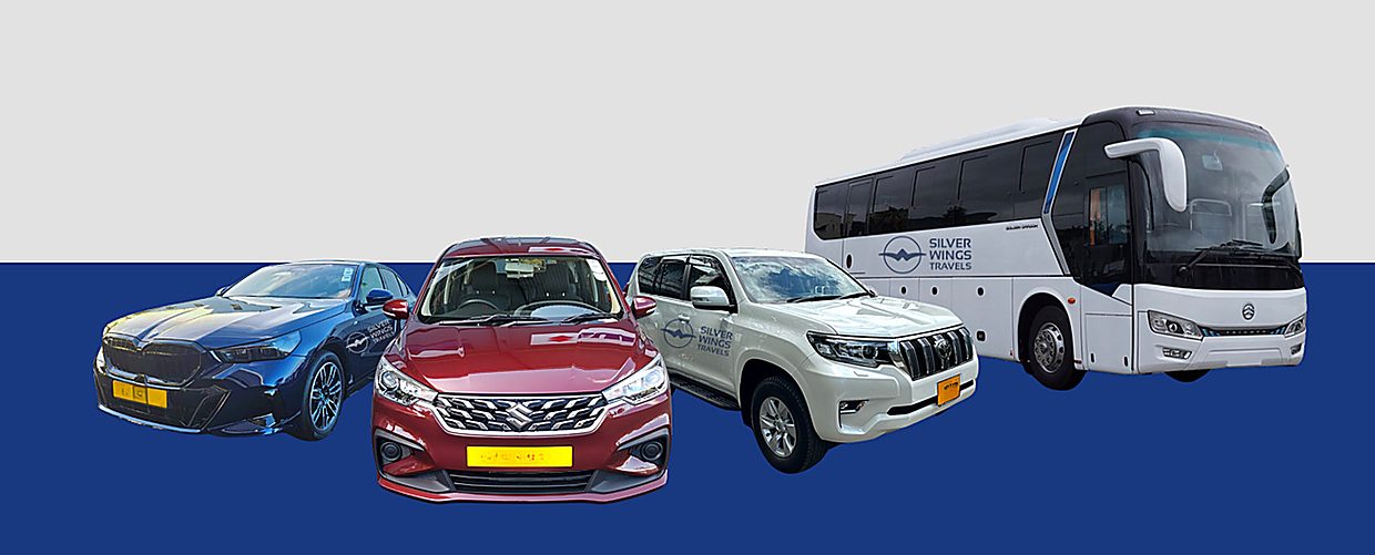 Range of transfer vehicles from sedans to coaches