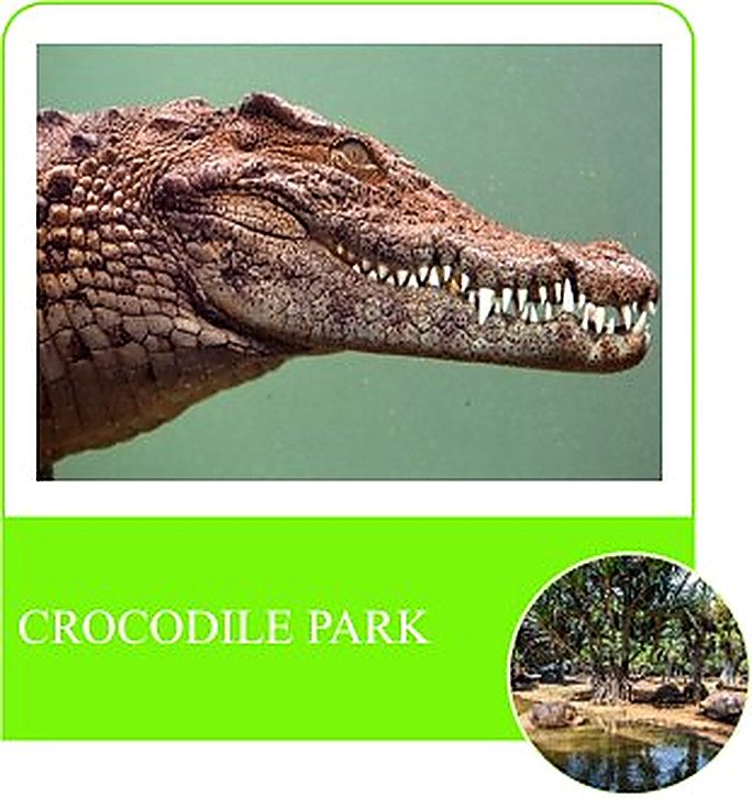 La Vanille — crocodiles and giant tortoises