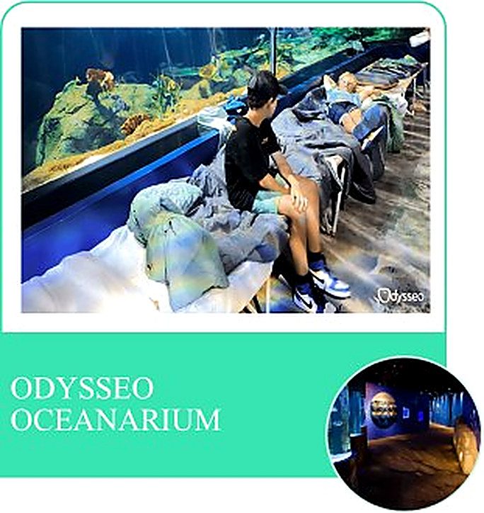 Odysseo — the largest oceanarium in Mauritius